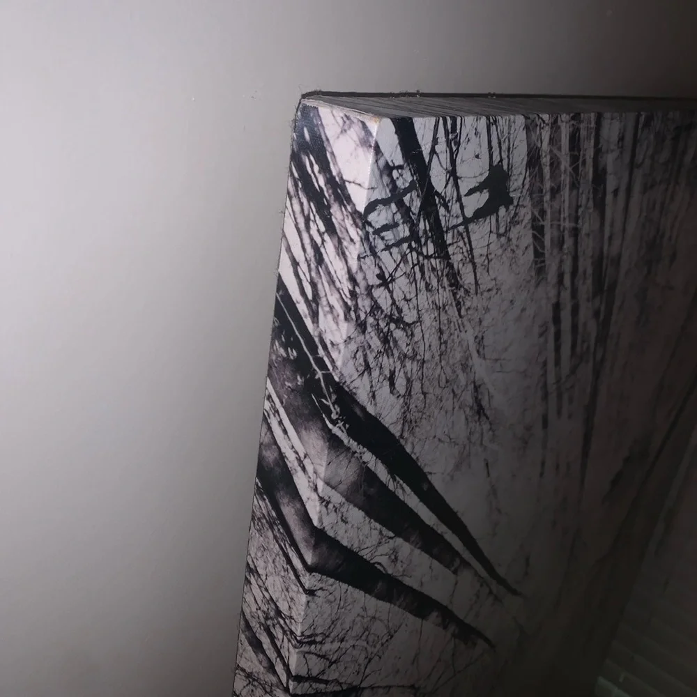 EARTHBOUND Monochrome Canopy Mural in Black & White